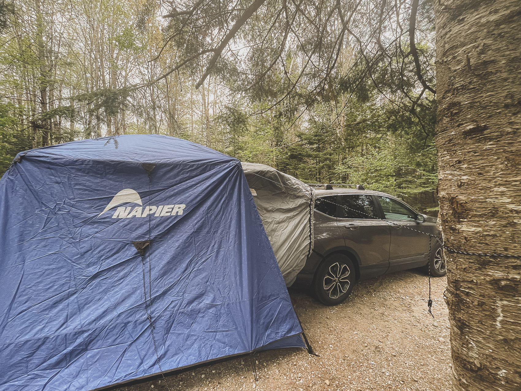 Gear Review: Napier Outdoors SUV Tent - Have Toothbrush Will Travel